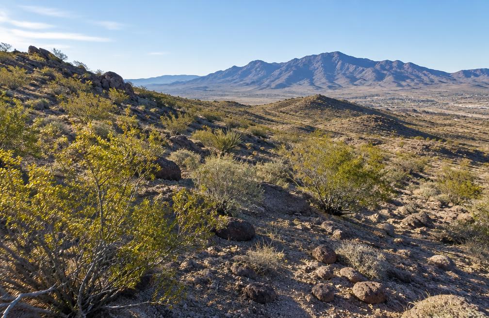 Hualapai Foothill Lot