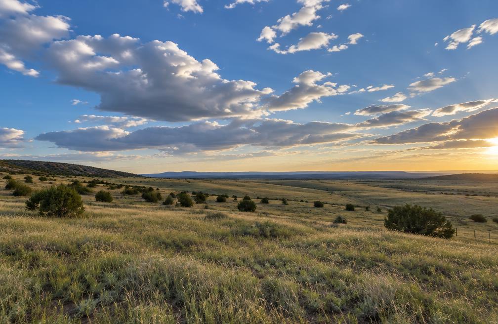 Concho Meadow Acres